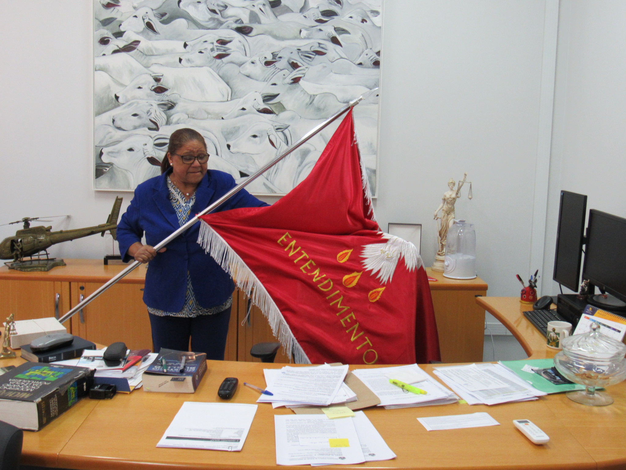 galeria/VISITA DA BANDEIRA DO DIVINO ESPÍRITO SANTO  - 01/06/2017