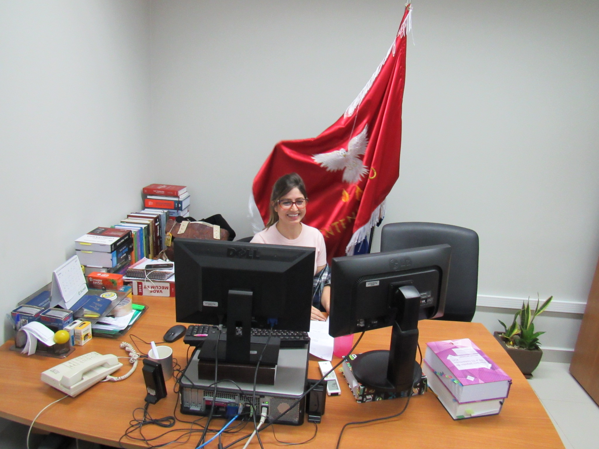 galeria/VISITA DA BANDEIRA DO DIVINO ESPÍRITO SANTO  - 01/06/2017