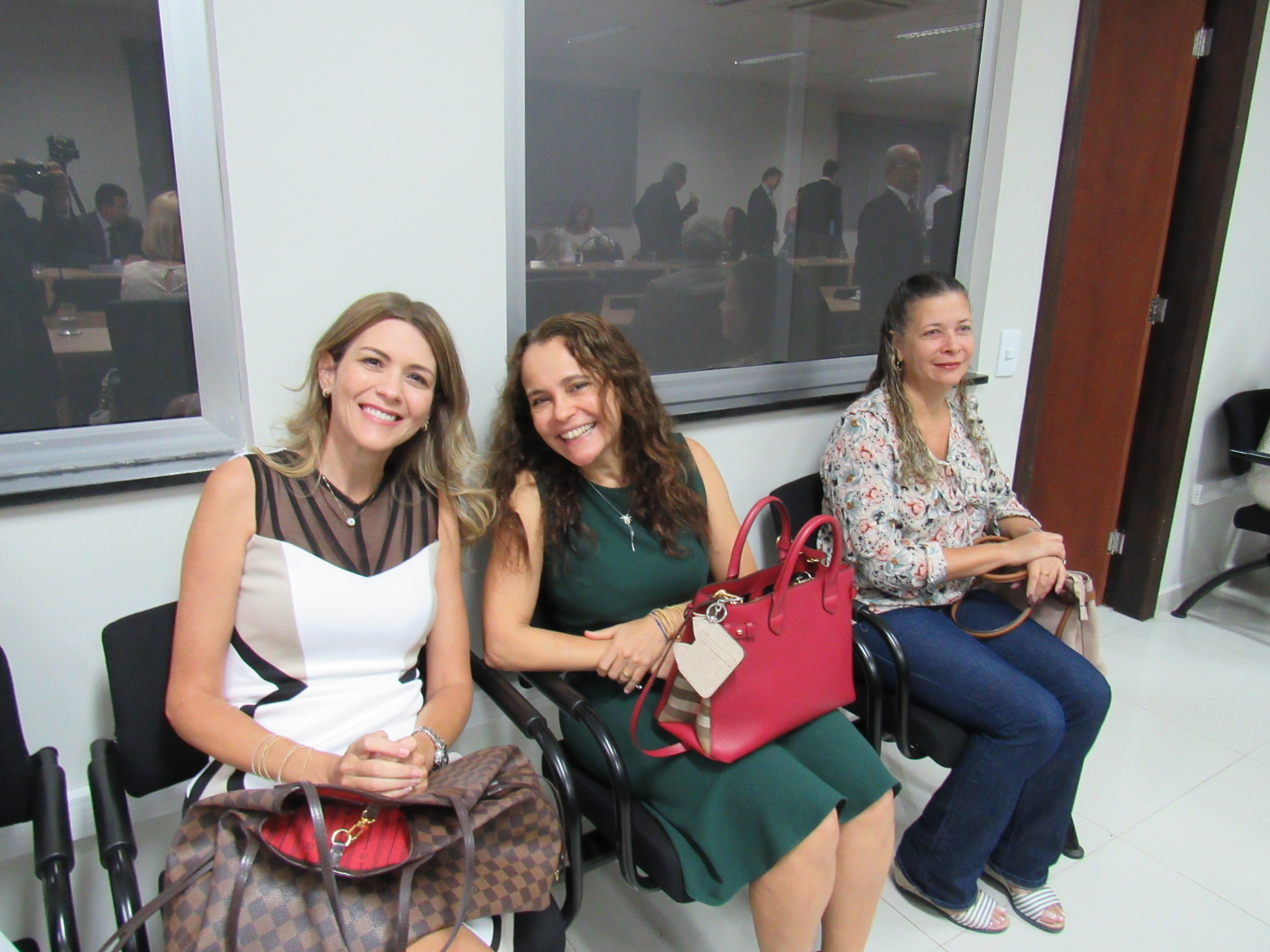 galeria/POSSE DA PROMOTORA DE JUSTIÇA ANA CRISTINA BARDUSCO SILVA NO CARGO DE PROCURADORA DE JUSTIÇA - 04.02.19