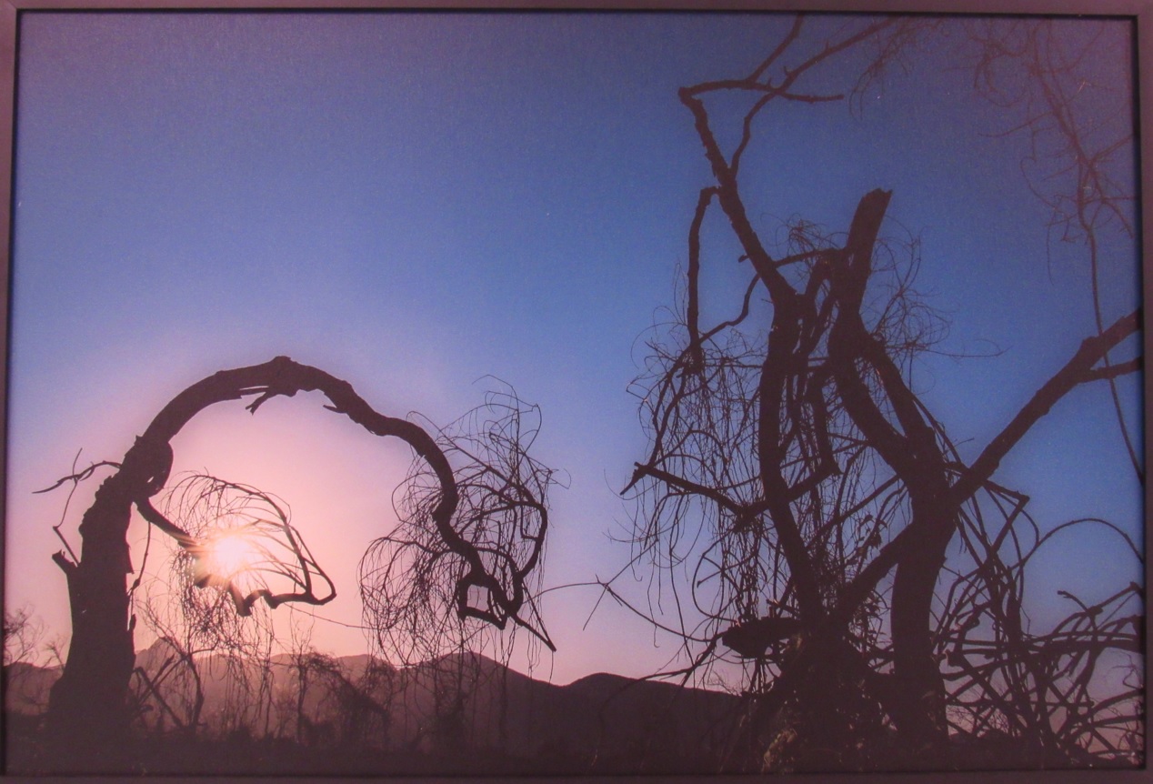 galeria/MINISTÉRIO PÚBLICO AMBIENTAL