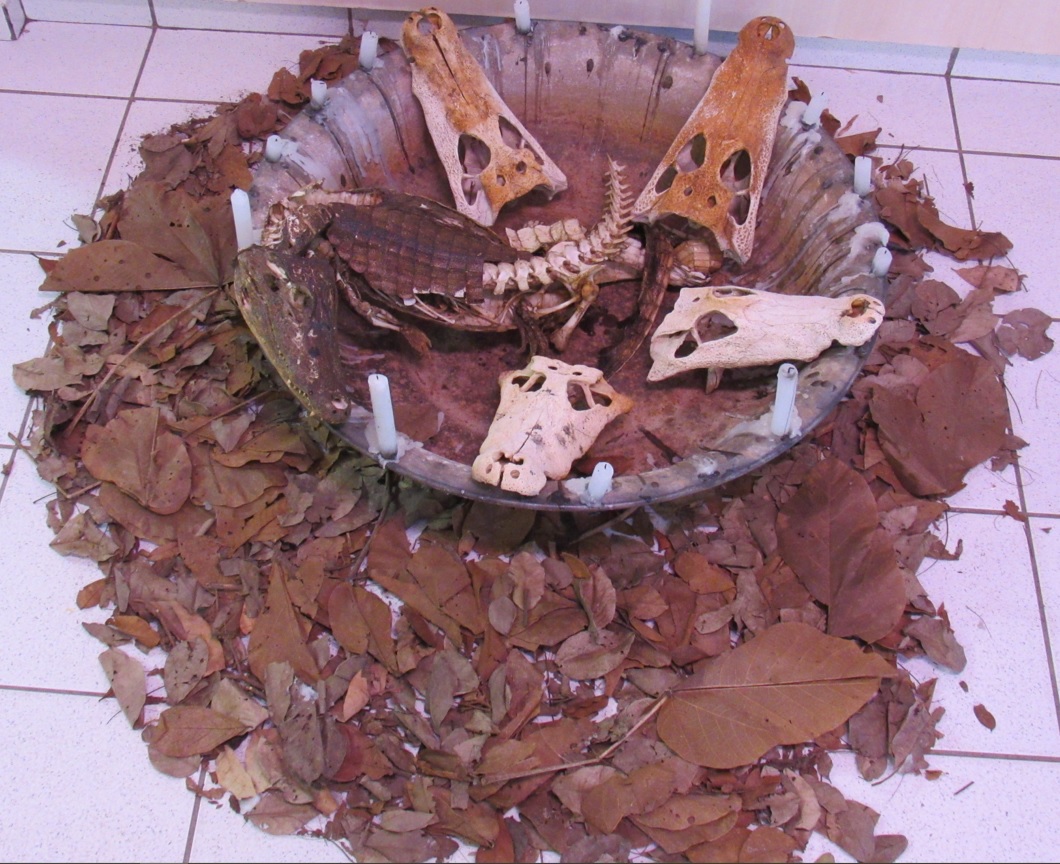 galeria/MINISTÉRIO PÚBLICO AMBIENTAL