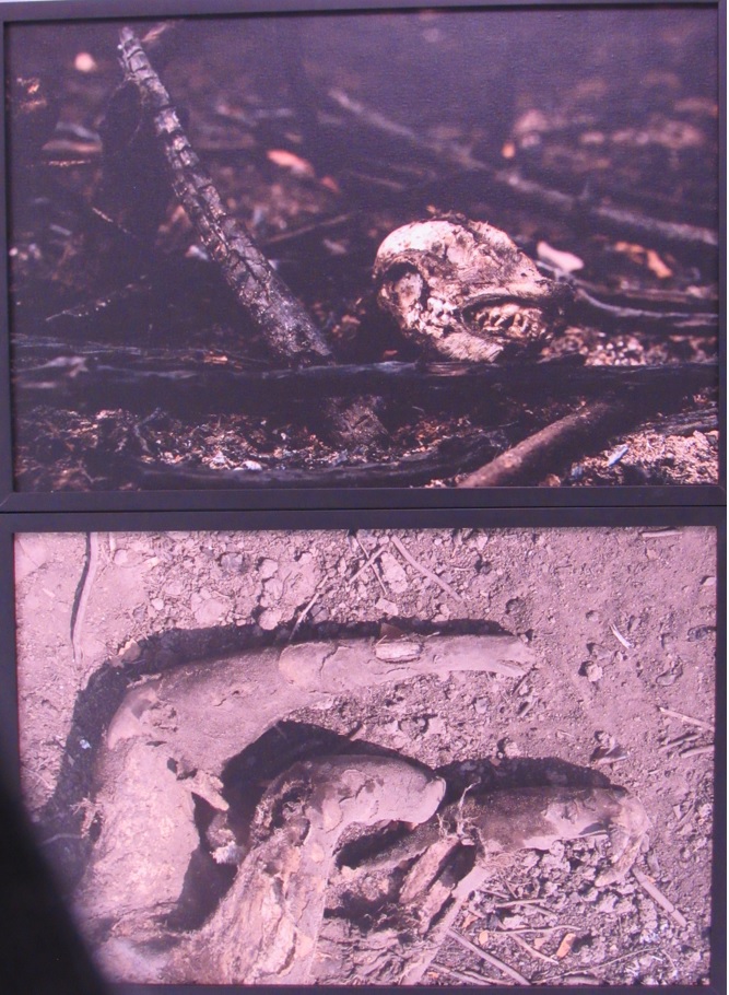 galeria/MINISTÉRIO PÚBLICO AMBIENTAL