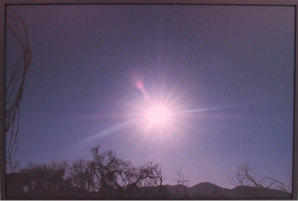 galeria/MINISTÉRIO PÚBLICO AMBIENTAL
