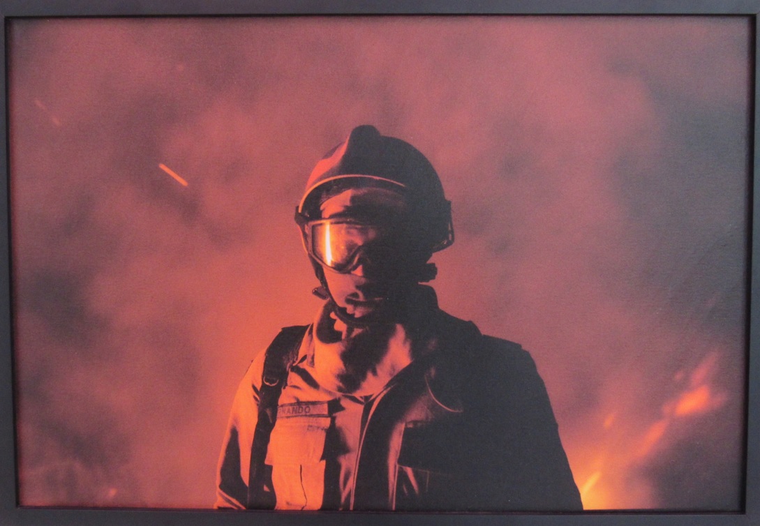 galeria/MINISTÉRIO PÚBLICO AMBIENTAL