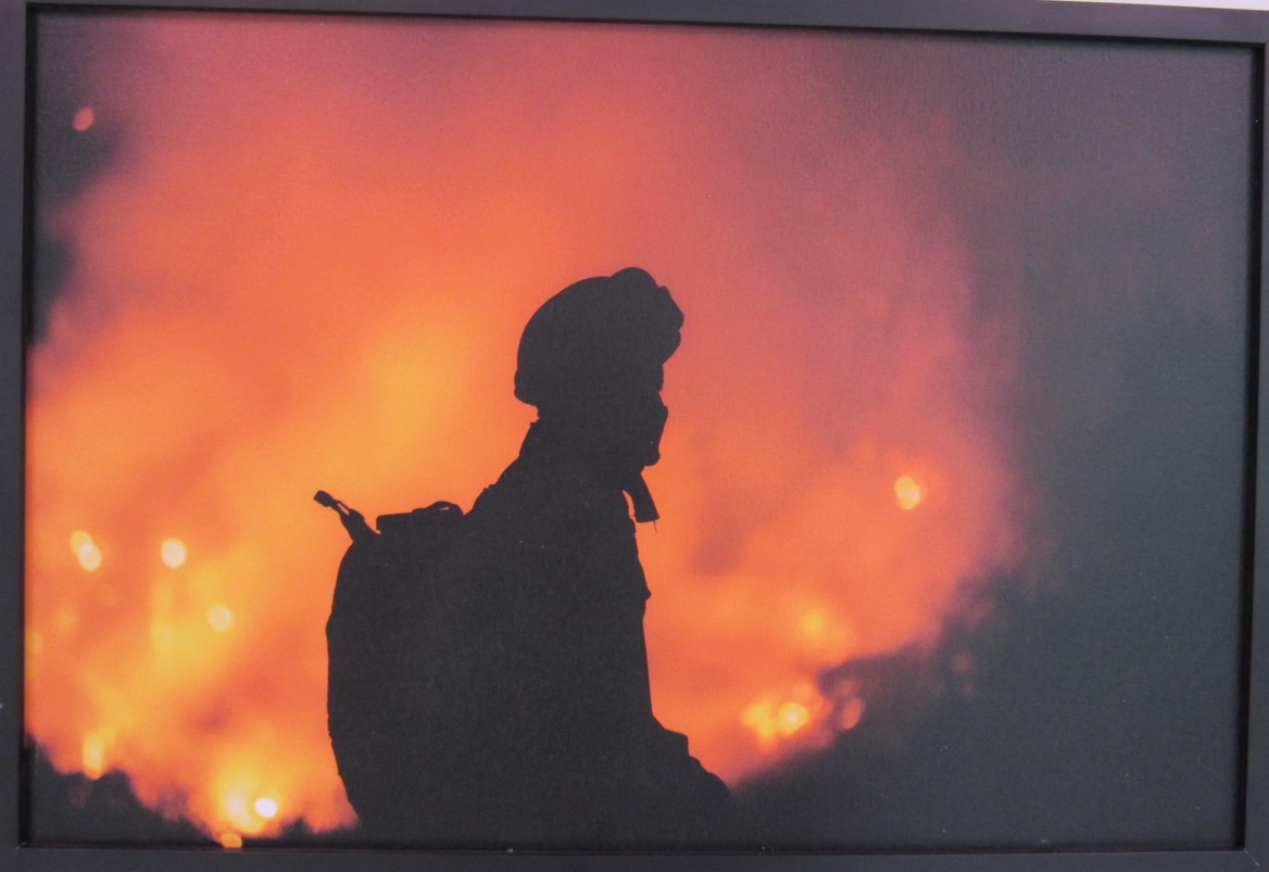 galeria/MINISTÉRIO PÚBLICO AMBIENTAL