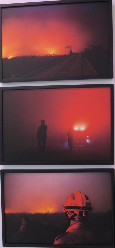 galeria/MINISTÉRIO PÚBLICO AMBIENTAL