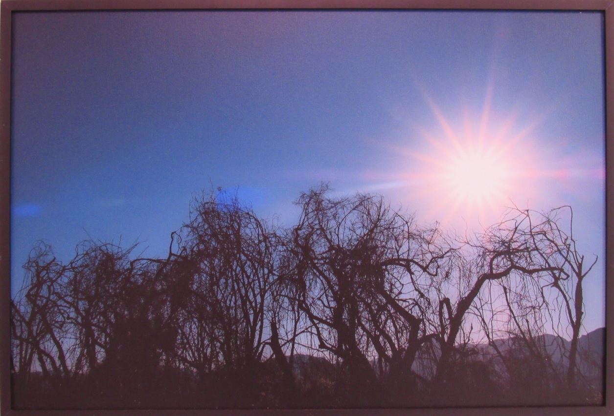 galeria/MINISTÉRIO PÚBLICO AMBIENTAL