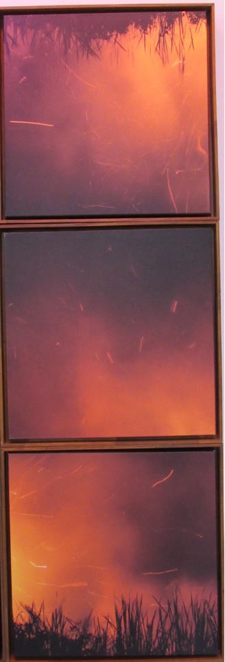 galeria/MINISTÉRIO PÚBLICO AMBIENTAL