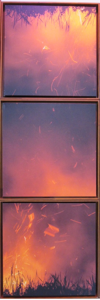 galeria/MINISTÉRIO PÚBLICO AMBIENTAL