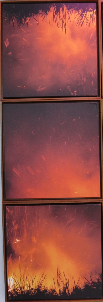 galeria/MINISTÉRIO PÚBLICO AMBIENTAL