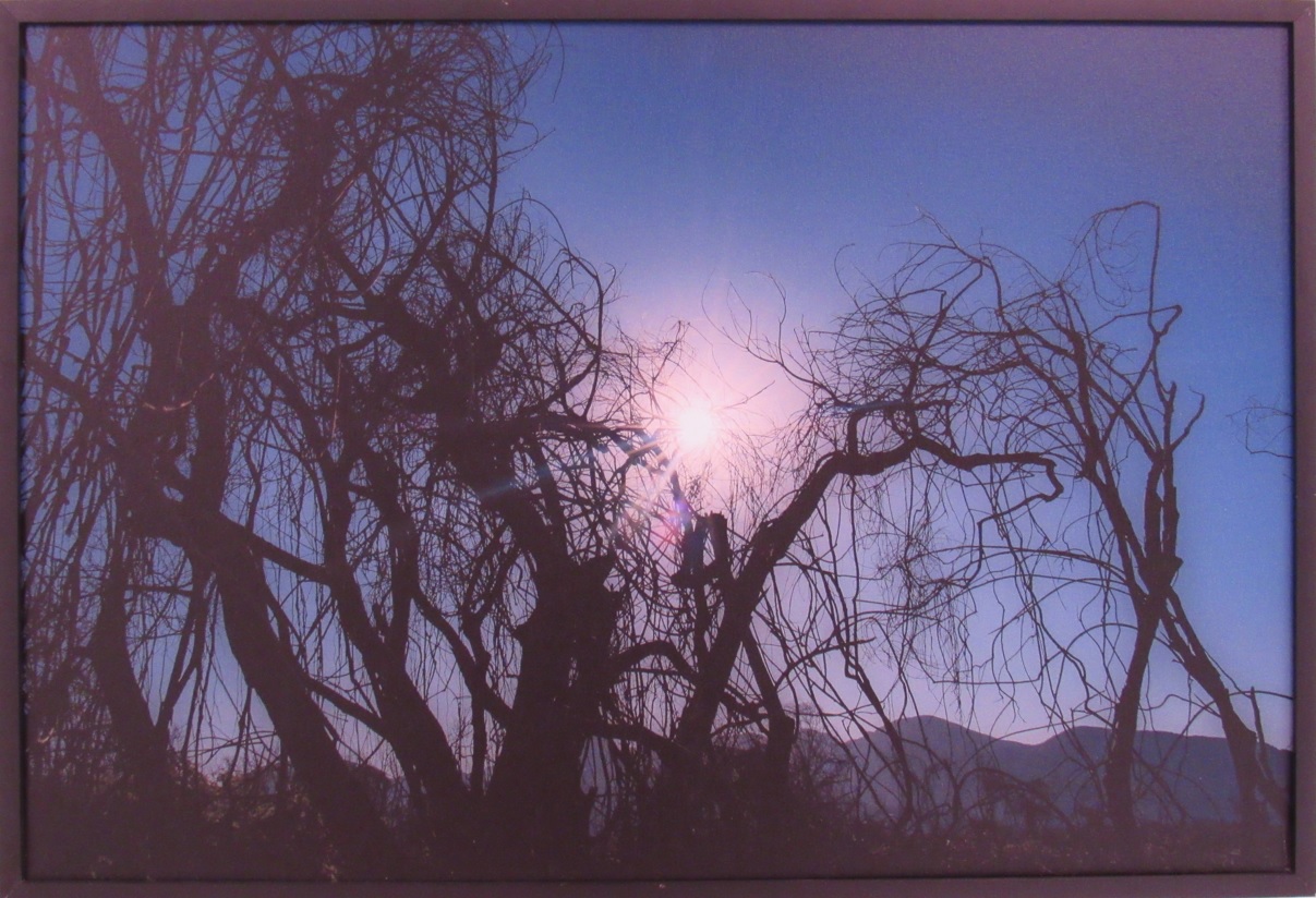 galeria/MINISTÉRIO PÚBLICO AMBIENTAL