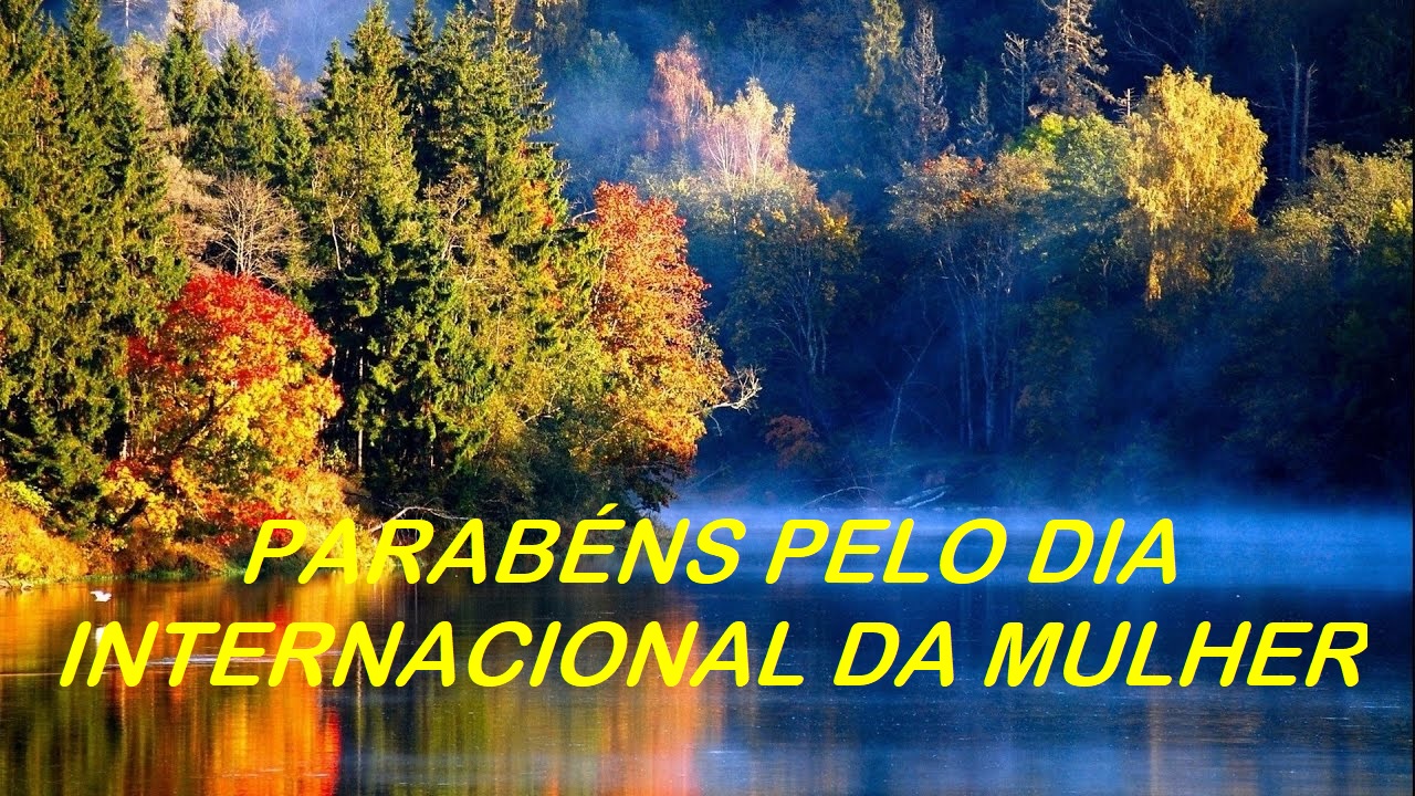 galeria/DIA INTERNACIONAL DA MULHER