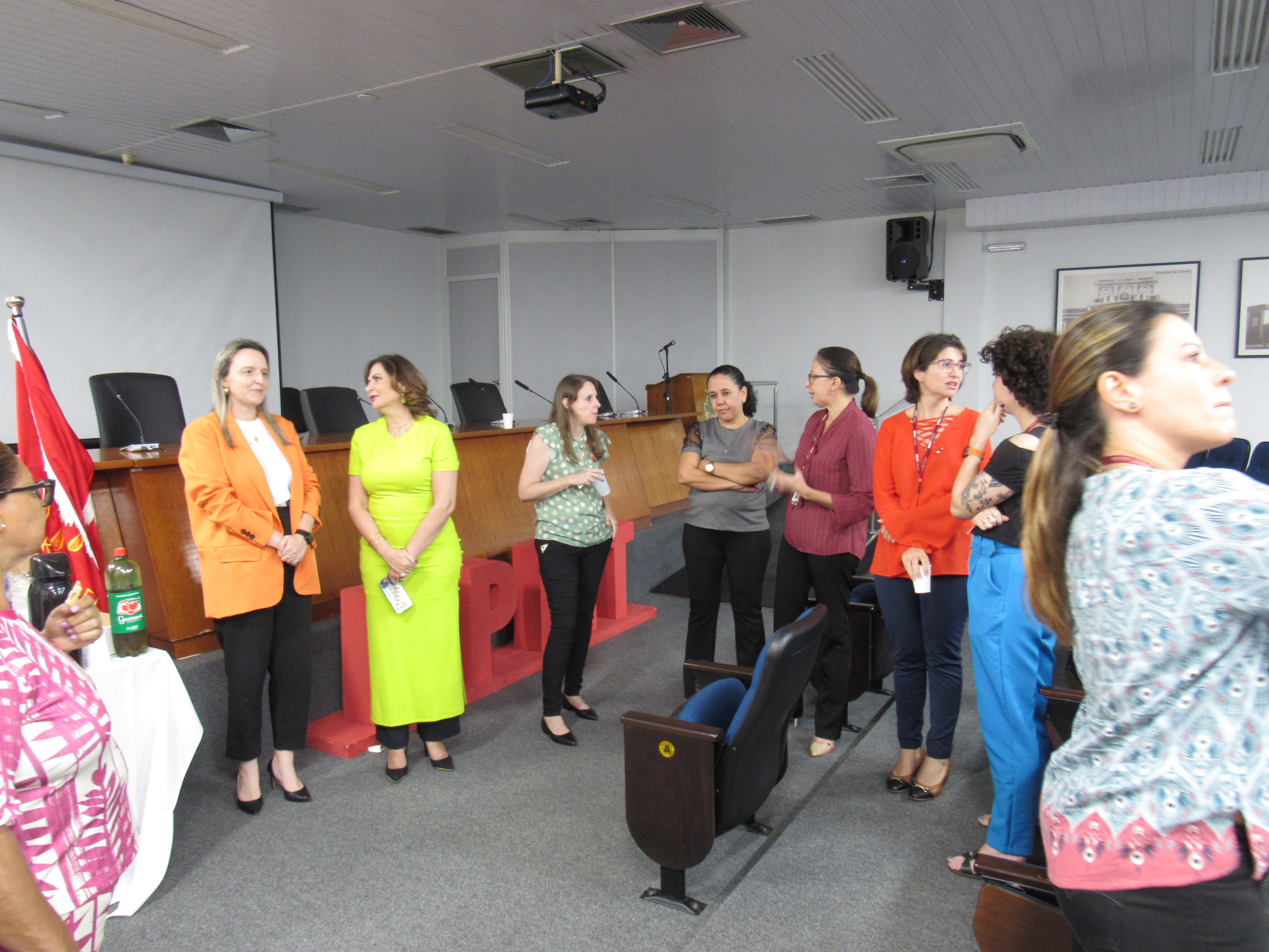 galeria/BANDEIRA DO DIVINO