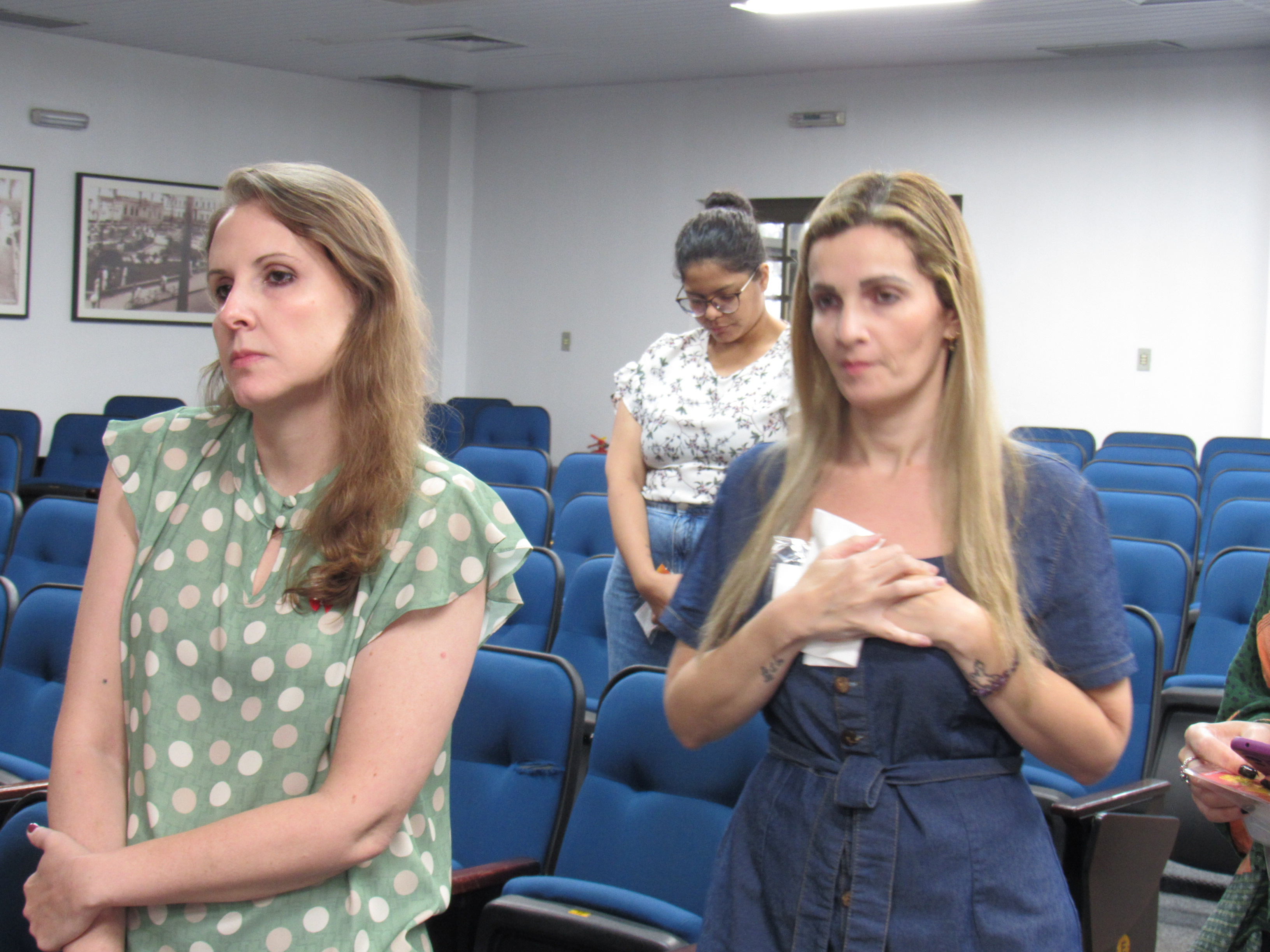 galeria/BANDEIRA DO DIVINO