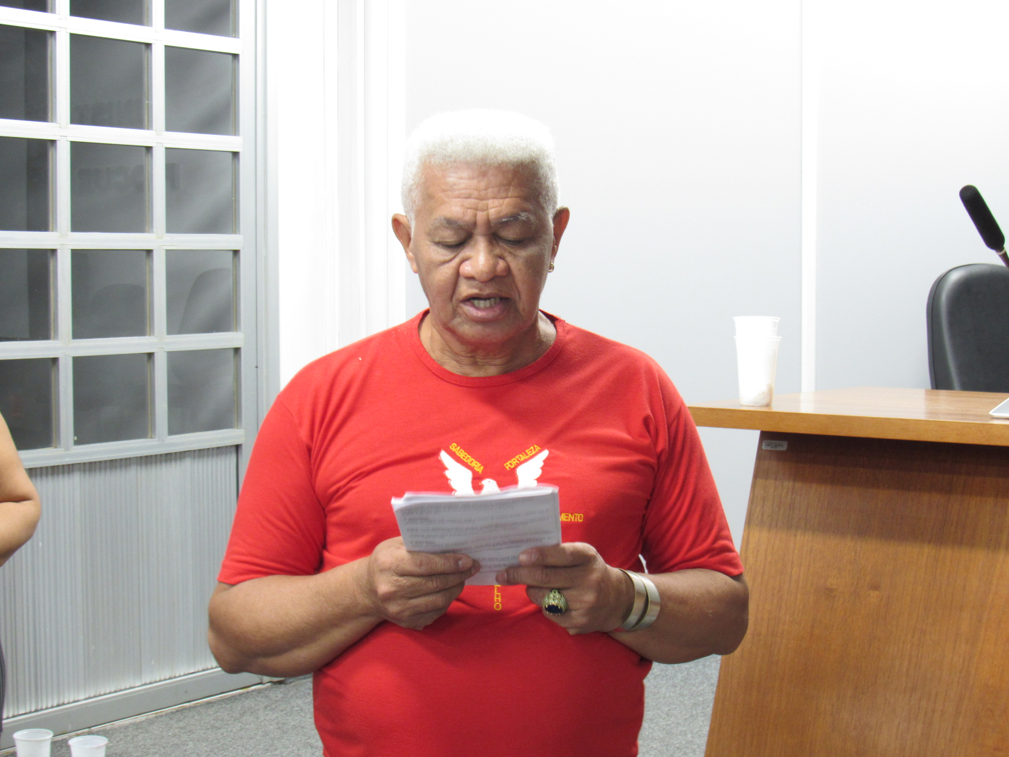 galeria/BANDEIRA DO DIVINO