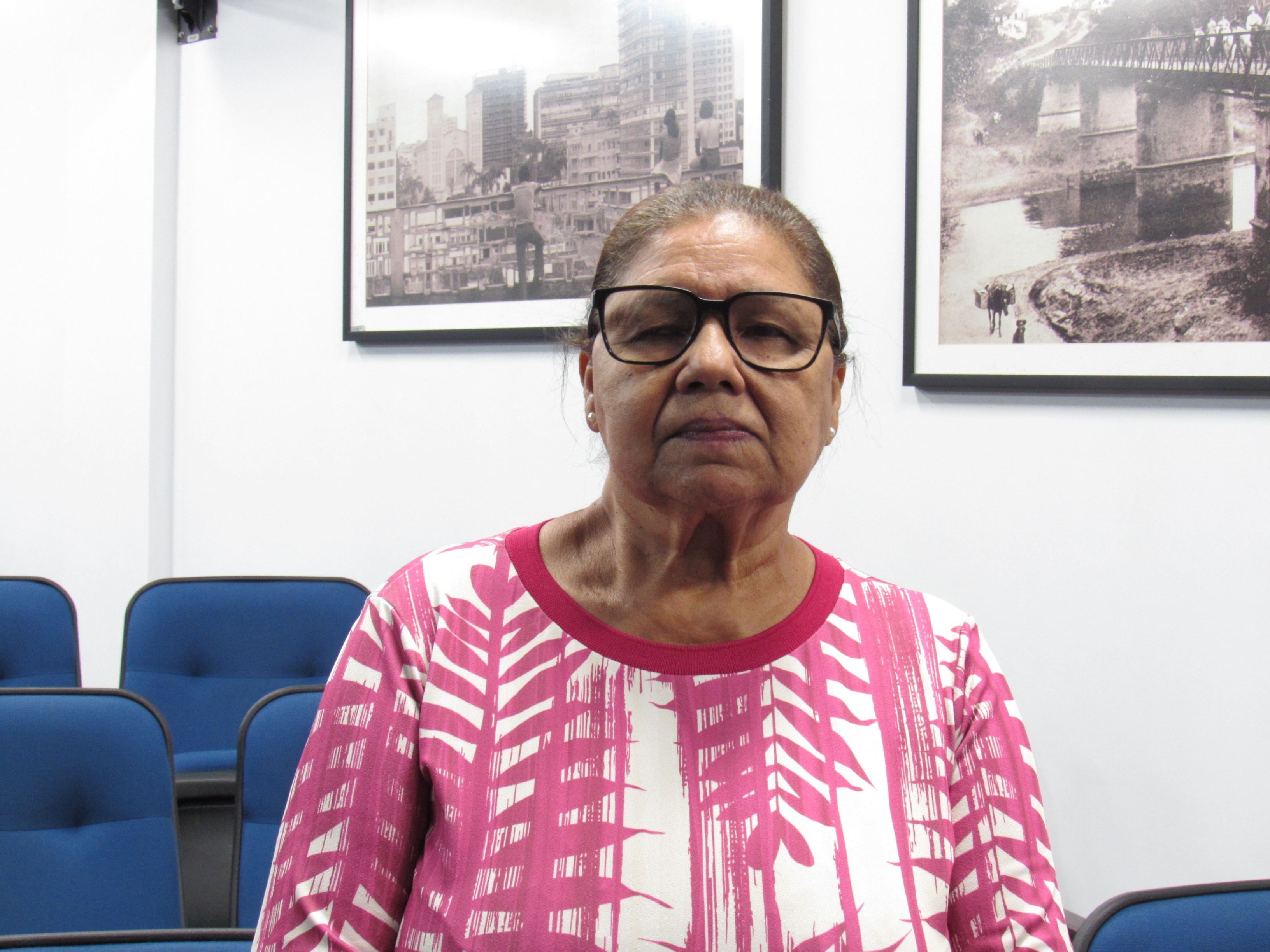 galeria/BANDEIRA DO DIVINO