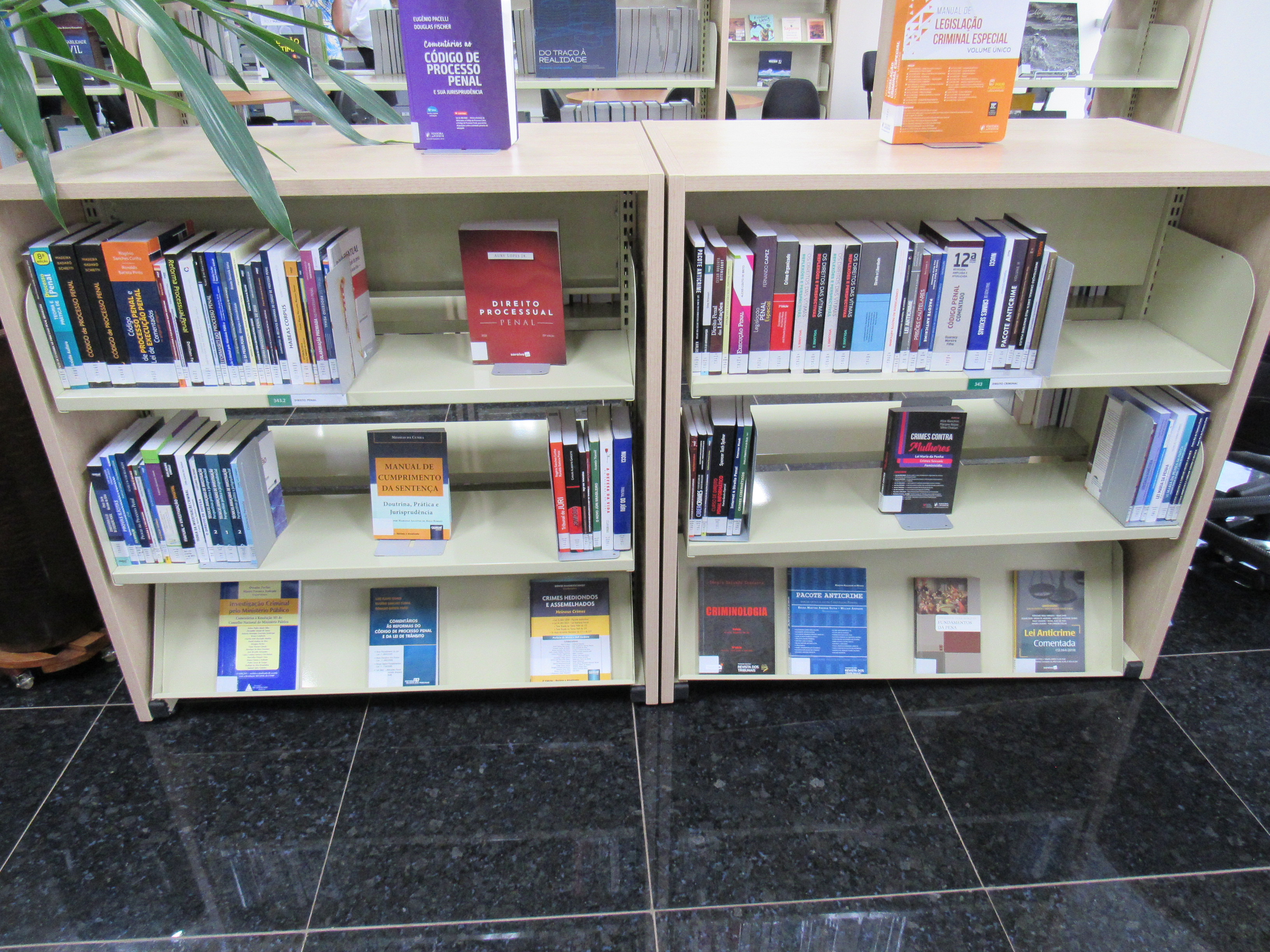 galeria/NOVA BIBLIOTECA