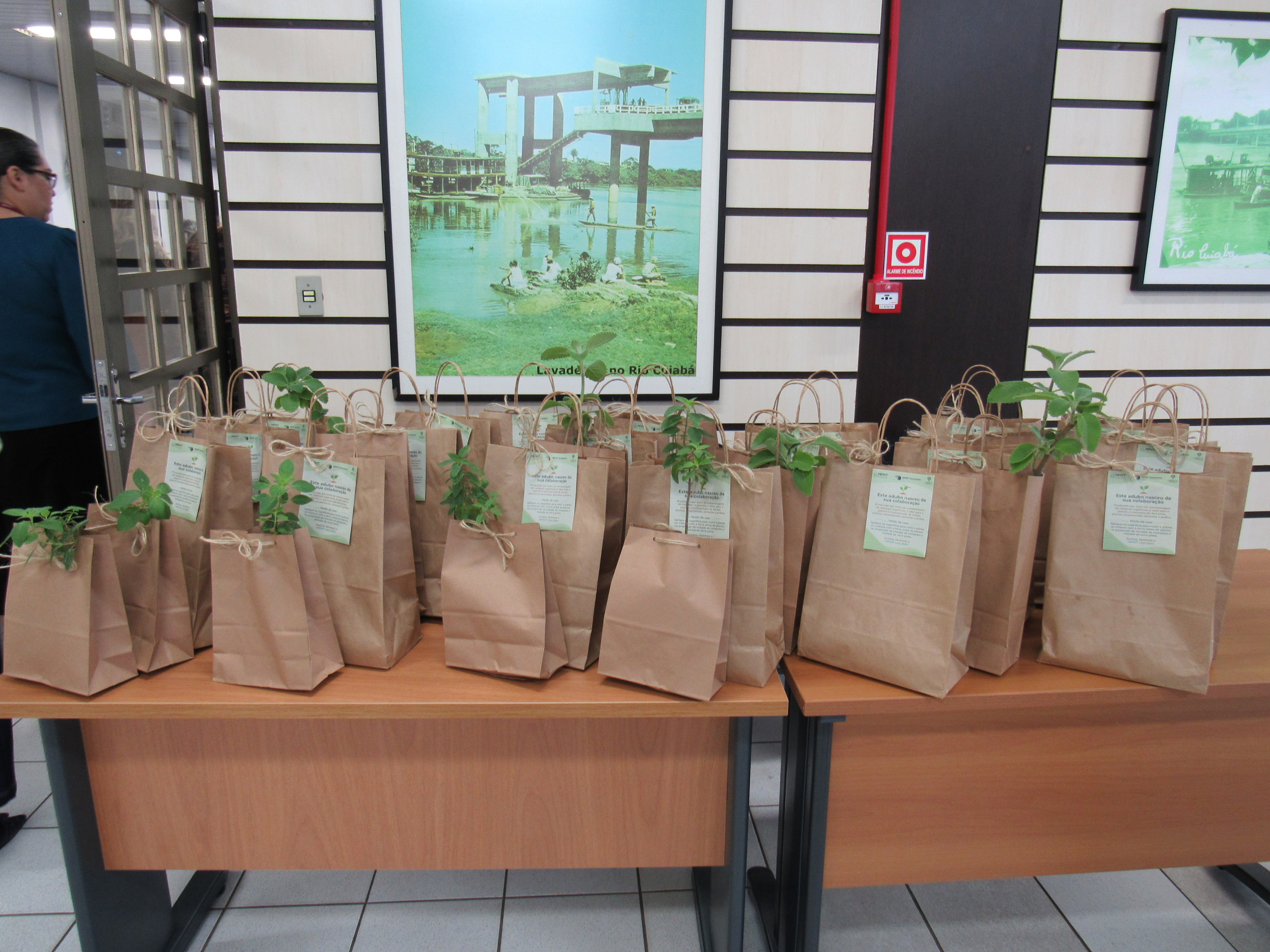 galeria/MP SUSTENTÁVEL